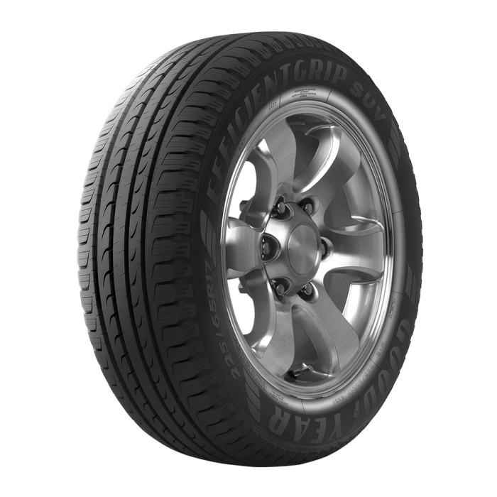 Goodyear 205/65R16 95H EfficientGrip SUV