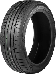 [DEL022189] Delinte 205/40R17 84Y XL DS7 Sport